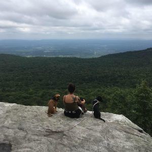 Meet your Posher, Selena